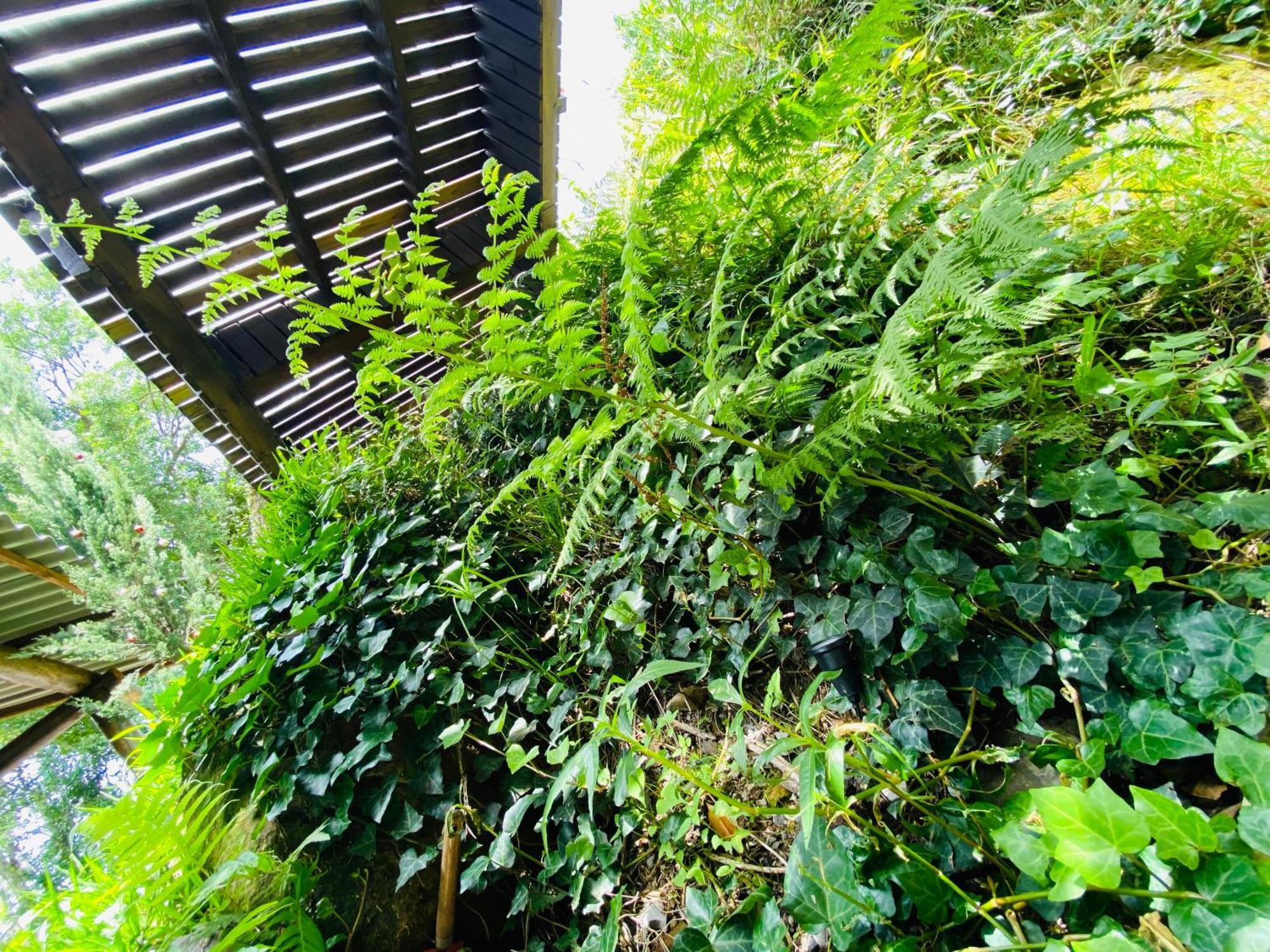 Paraíso dos Ciclistas Gramado Exterior foto